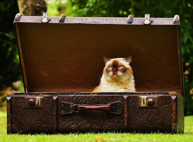 Time Travel Suitcase
